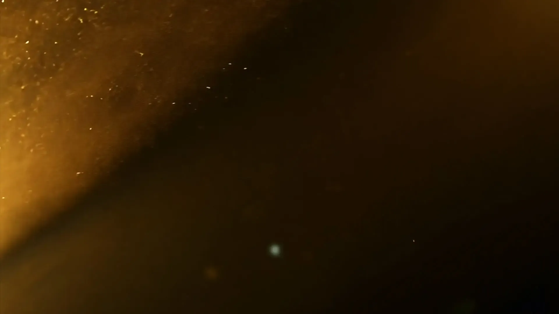 Luxury Gold Sparkle Overlay for Festive Title Animation